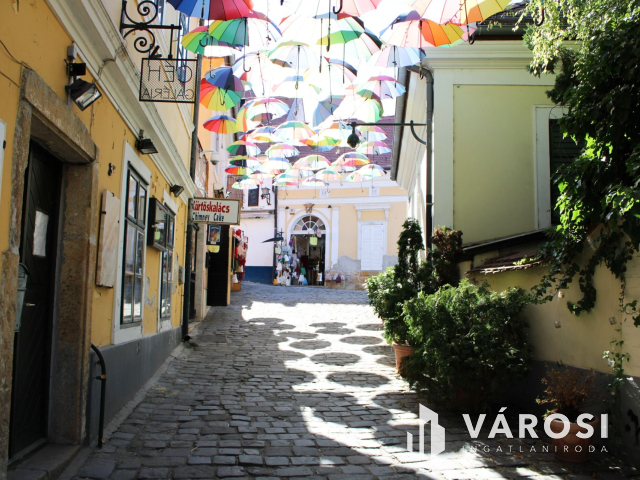 Egyedi üzlethelyiség kiadó Szentendre belvárosában