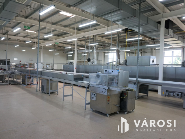 Ausztria határától mindössze 7 km-re korszerű telephely!