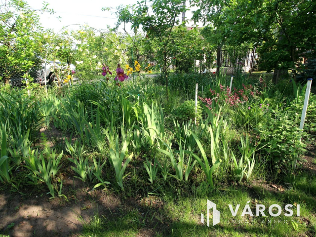 Édenkert Szeged kedvelt üdülő övezetében