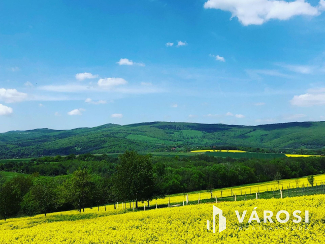 Kőszegdoroszlón örökpanorámás 3 telek, külön v. egyben eladó
