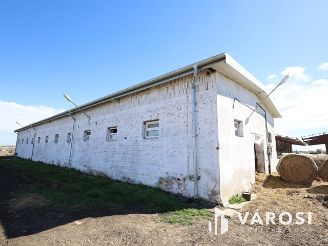 Eladó sertéstelep Szeghalom határában 11 ha területen