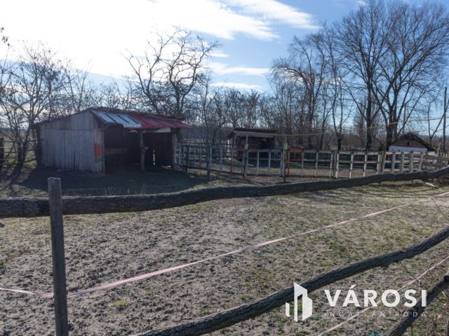 Lovastanya erdővel a szélén