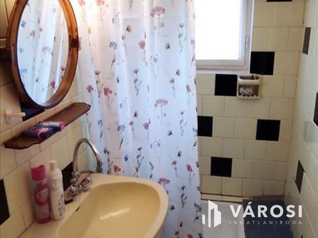 Tiszalökön, közvetlen a Tisza parton nyaraló eladó!