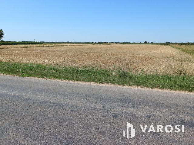 Egyházashollós,3 belterületi telek eladó,külön is. 2100m2/db