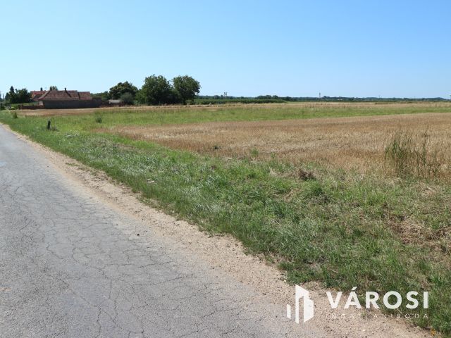Egyházashollós,3 belterületi telek eladó,külön is. 2100m2/db