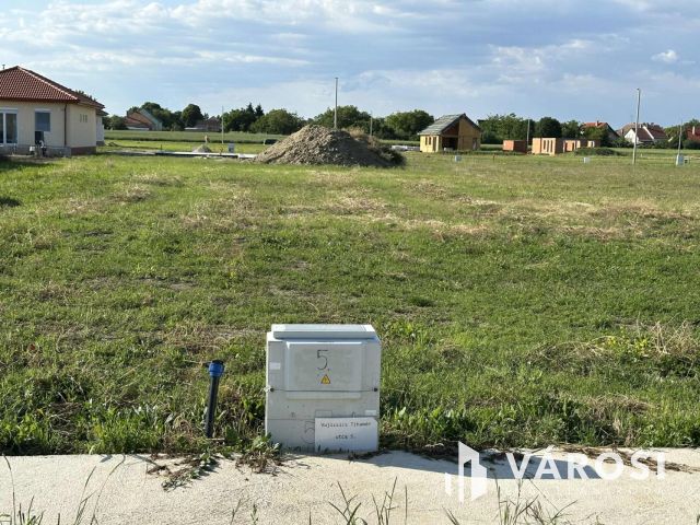 Deszk,Szőlőskerti lehetőség,később ki tudja.