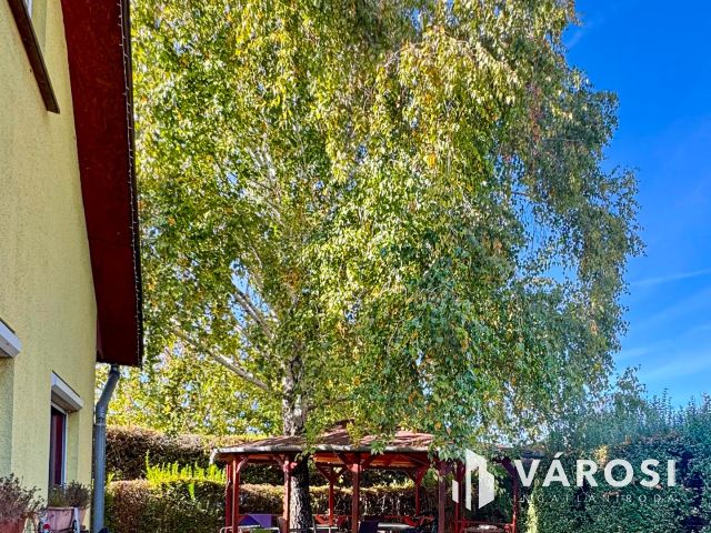 Hangulatos , otthonos családiház szigetszentmiklóson