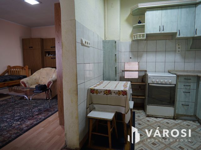 Teleki utcában, udvari lakás kis zöldterülettel