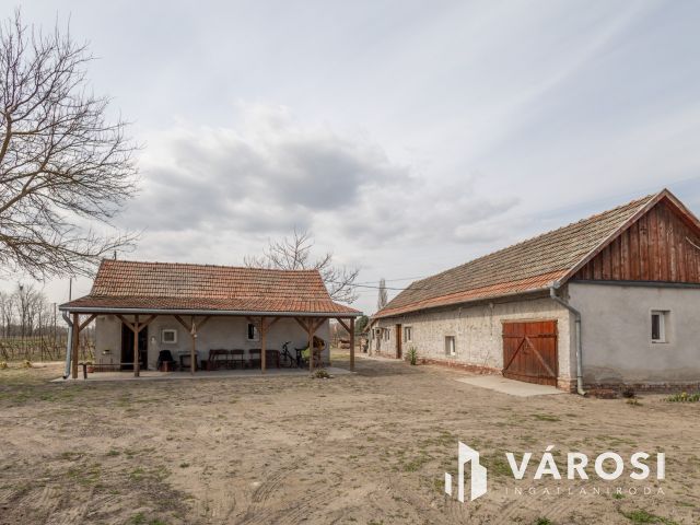 Ahol a munka meghozza gyümölcsét – szó szerint