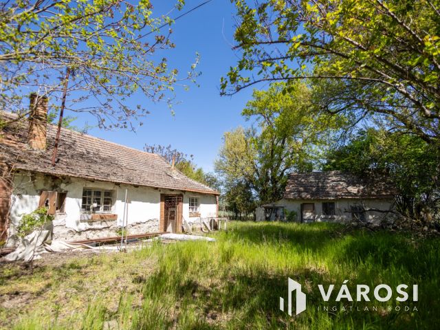 Eperfák árnyékában