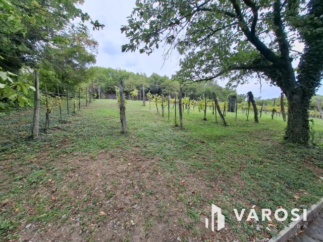 Balatoni panorámás ház a Badacsony hegyen