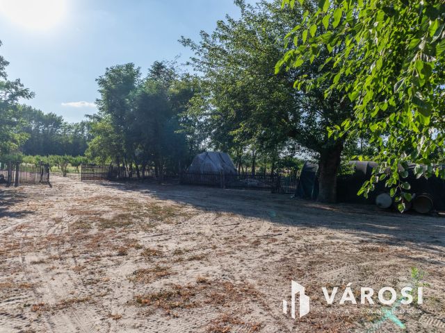 Egy hely, ahol még mindig hallani a természet csendjét