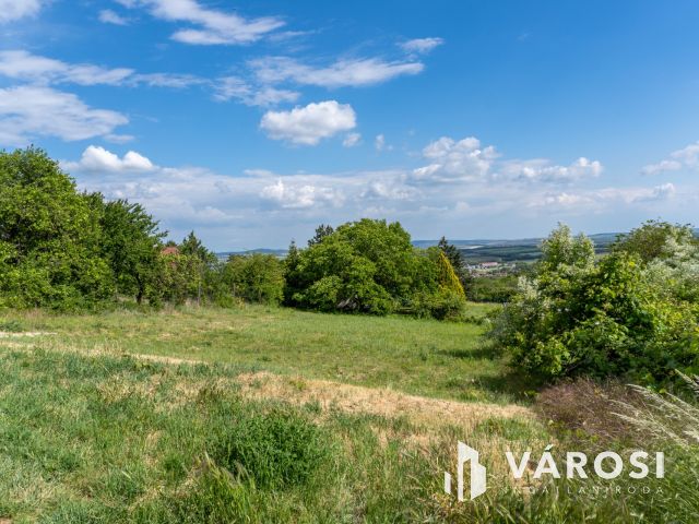 ZSÁMBÉKI PANORÁMÁS ZÁRTKERT