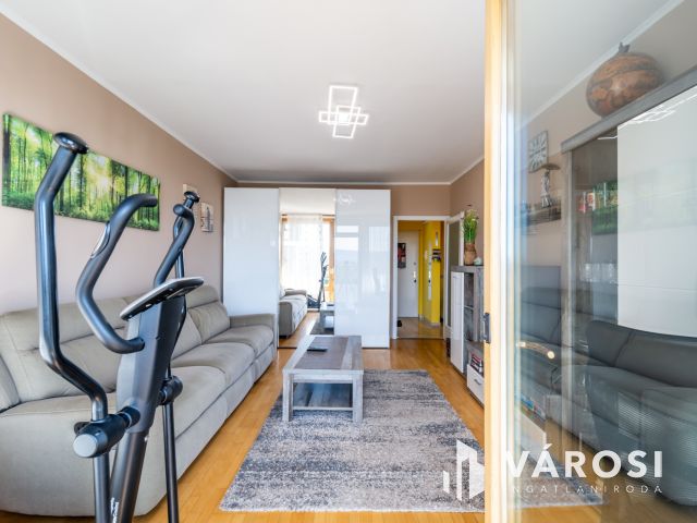 Örökpanorámás, nagy erkélyes, nappali + 2 hálós lakás