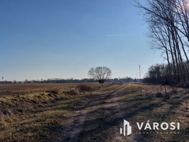 11,8 HA FEJLESZTÉSI TERÜLET HOSSZÚPÁLYIBAN