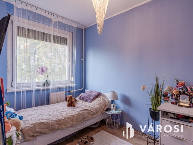 A Zsitva sori hetven tettes - eladó panel lakás -